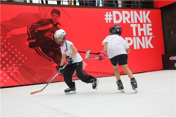 High Quality Hockey Synthetic panel Ice Rinks artificial Ice Skating Rinks Panel