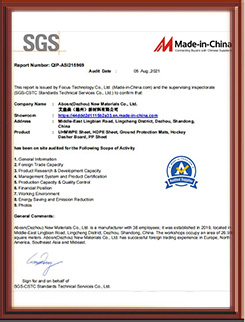 SGS audit supplier